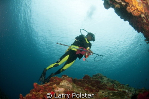 Diver with spear elimination some of the many lionfish in... by Larry Polster 